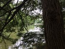 photo thumbnail #8