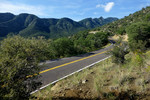 photo thumbnail #10