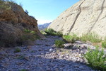 photo thumbnail #9