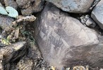 photo thumbnail #15