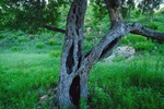 photo thumbnail #7