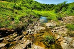 photo thumbnail #12