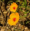 photo thumbnail #15
