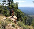 photo thumbnail #2