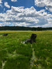 photo thumbnail #14