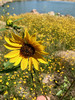 photo thumbnail #3