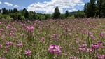 photo thumbnail #11