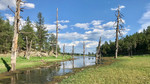 photo thumbnail #6