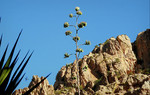 photo thumbnail #10