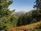 photo thumbnail #12