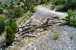 photo thumbnail #9