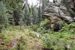 photo thumbnail #9