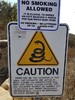 photo thumbnail #15