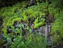 photo thumbnail #12