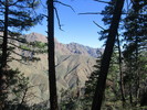 photo thumbnail #6