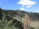 photo thumbnail #9