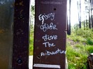 photo thumbnail #3