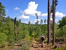photo thumbnail #6