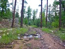 photo thumbnail #10