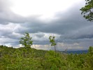 photo thumbnail #12