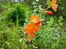 photo thumbnail #14