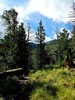 photo thumbnail #8