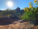 photo thumbnail #1