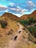 photo thumbnail #5