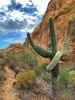 photo thumbnail #9
