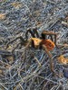photo thumbnail #10