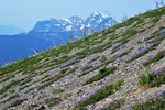 photo thumbnail #10
