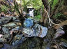 photo thumbnail #8