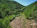 photo thumbnail #15