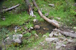 photo thumbnail #5