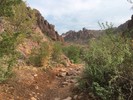 photo thumbnail #1