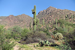 photo thumbnail #8