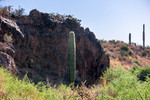 photo thumbnail #11