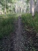 photo thumbnail #4