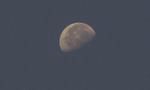 photo thumbnail #5