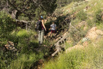 photo thumbnail #7