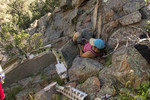 photo thumbnail #15