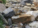 photo thumbnail #7