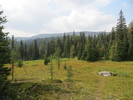 photo thumbnail #7