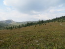 photo thumbnail #10