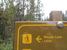 photo thumbnail #13