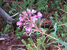 photo thumbnail #15