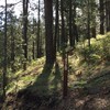 photo thumbnail #3
