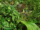 photo thumbnail #14
