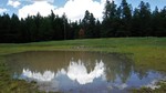 photo thumbnail #9