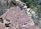 photo thumbnail #7